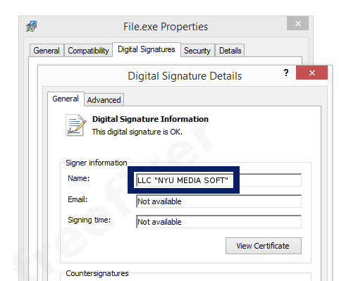 Screenshot of the LLC "NYU MEDIA SOFT" certificate